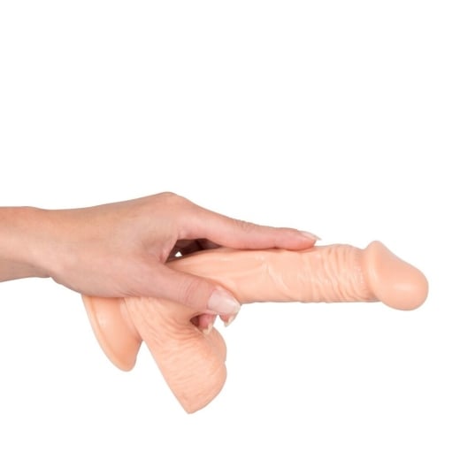 Falo imitatorius Medium Dong