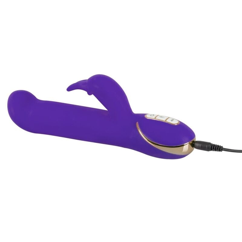 Vibraator Purple Rabbit Gesture