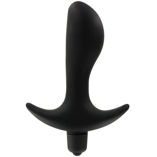 Analinis kaištis Private Dancer