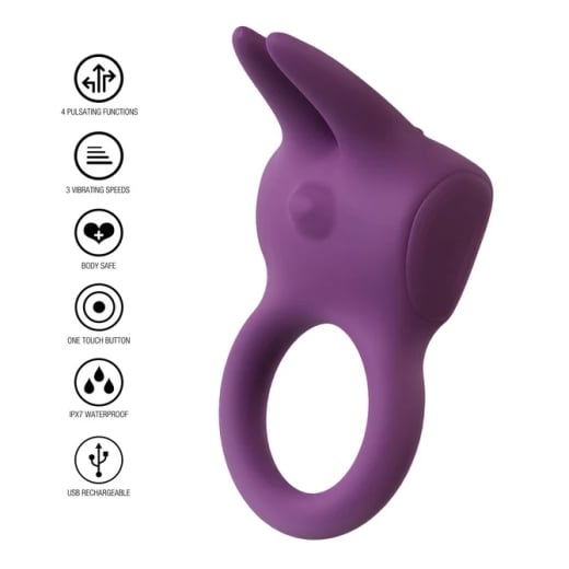 Penio žiedas Padūkęs zuikis (purpurinis)