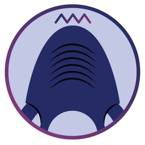 Penio žiedas - analinis kaištis Climaxer