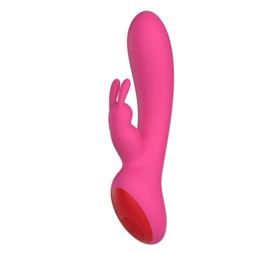 Vibrators Rebel