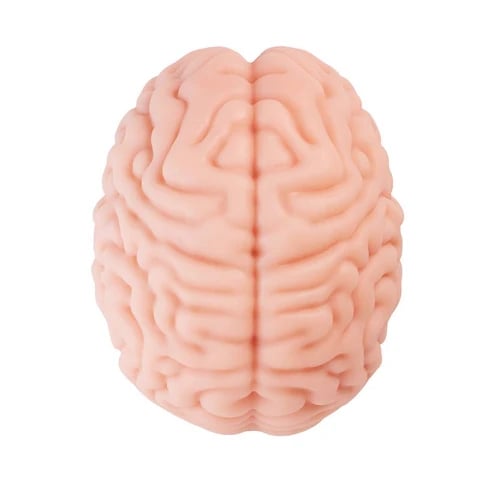 Masturbatorius Brain Hacker DX