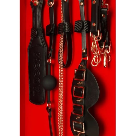 Suvaržymo rinkinys Desires Masterpiece Case