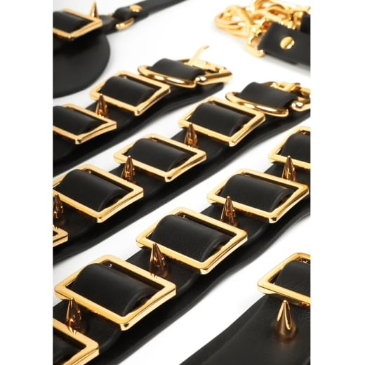 Suvaržymo rinkinys Desires Masterpiece Case