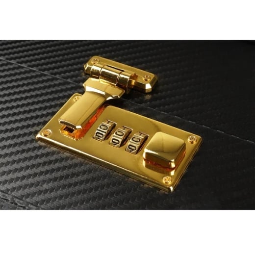 Suvaržymo rinkinys Desires Masterpiece Case