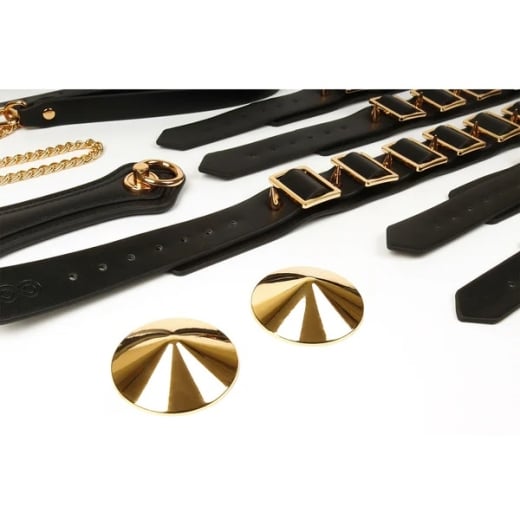 Suvaržymo rinkinys Desires Masterpiece Case