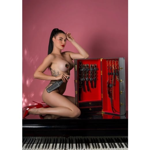 Suvaržymo rinkinys Desires Masterpiece Case