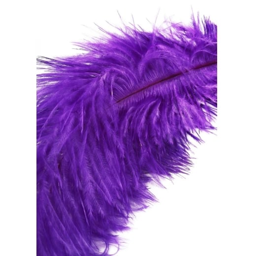 Plunksnelė EXTREME (violetinė)