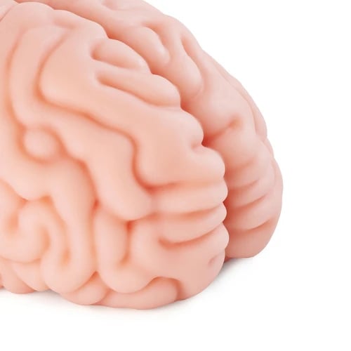 Masturbatorius Brain Hacker DX