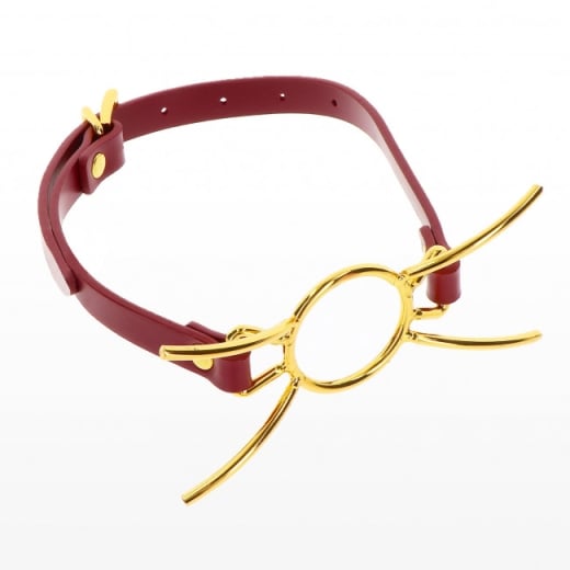 Burnos kaištis Spider Gag