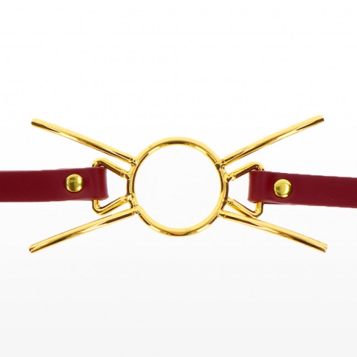 Burnos kaištis Spider Gag