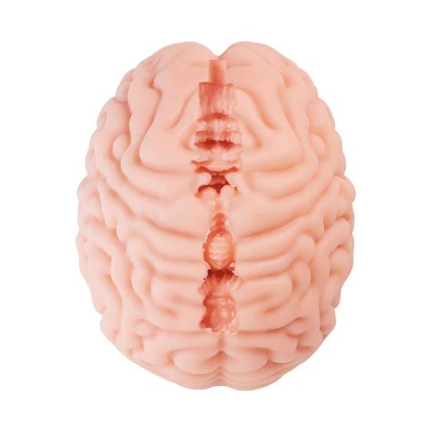 Masturbatorius Brain Hacker DX