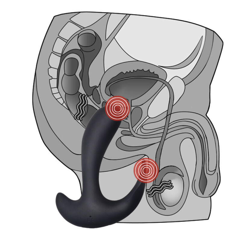 Prostatos vibratorius Prober
