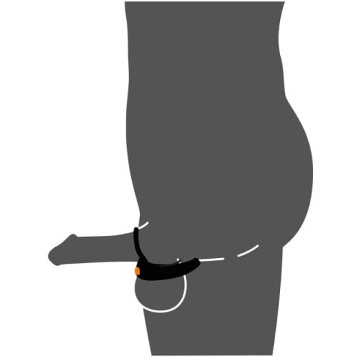 Penio žiedas Scrotum