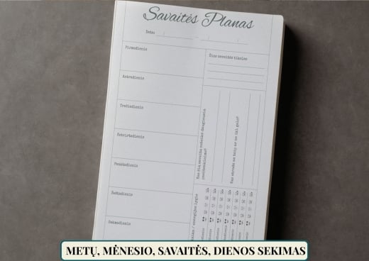 2026 BDSM Fantazijų Pratybos