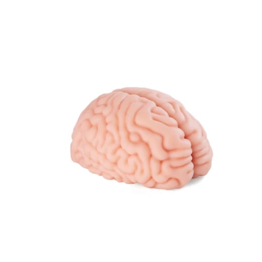 Masturbatorius Brain Hacker DX