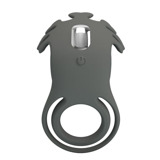 Penio žiedas Master Ring VI