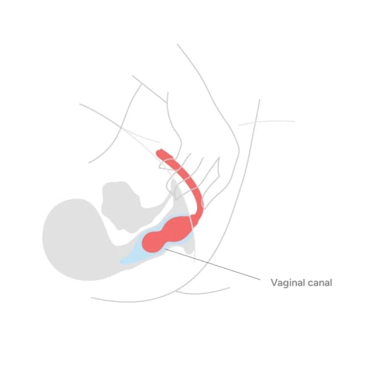 Смарт-тренажер для тазовых мышц Pelvic Partner
