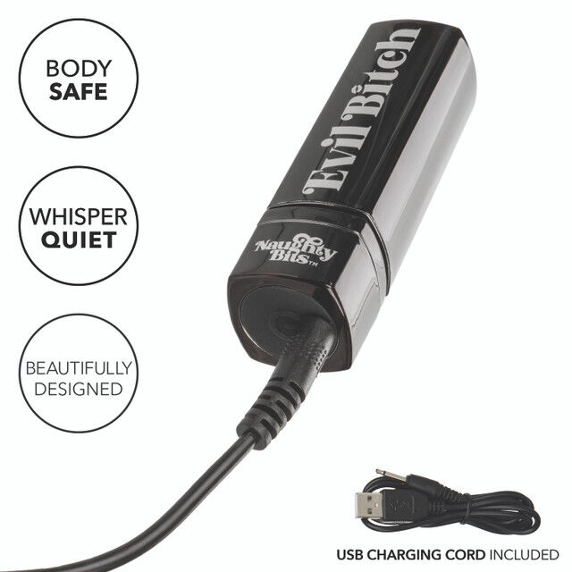 Vibrators Evil Bitch