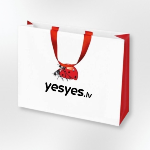 Papīra dāvanu maisiņš Bizbizmārītes (40x30cm)