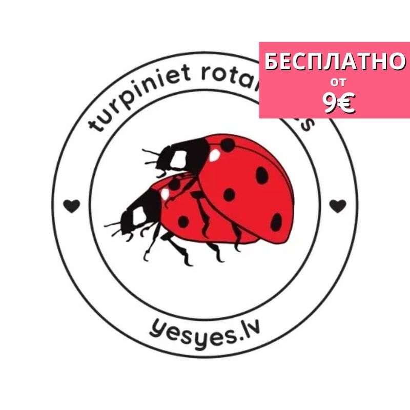 Наклейка Божьи коровки (10 см)