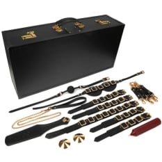 Suvaržymo rinkinys Desires Masterpiece Case