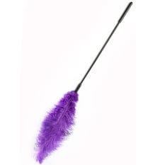 Plunksnelė EXTREME (violetinė)