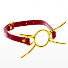 Burnos kaištis Spider Gag