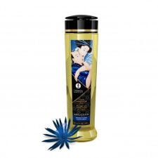 Masažo aliejus Shunga Midnight Seduction (240 ml)