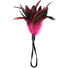 Baudas spalva Pleasure Feather (rozā)
