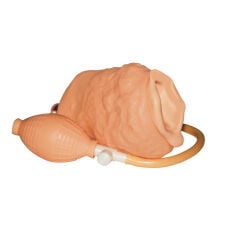 Vagina su pompa