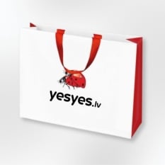 Papīra dāvanu maisiņš Bizbizmārītes (40x30cm)